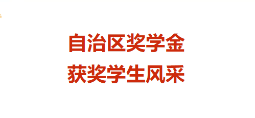 学在内艺，榜样领航｜自治区奖学金获奖学...